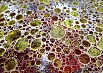 czyszczenie separatorow tluszczu