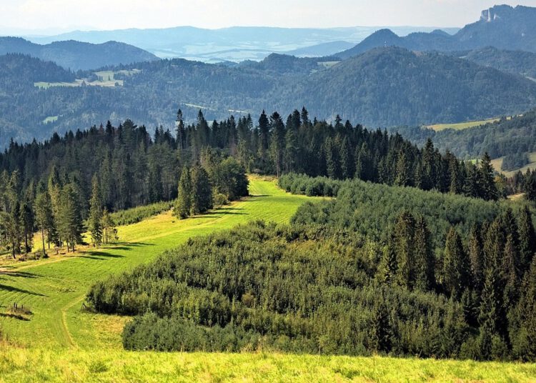 wypoczynek w pieninach