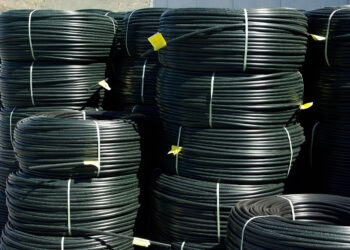 charakterystyka wezy ogrodowych