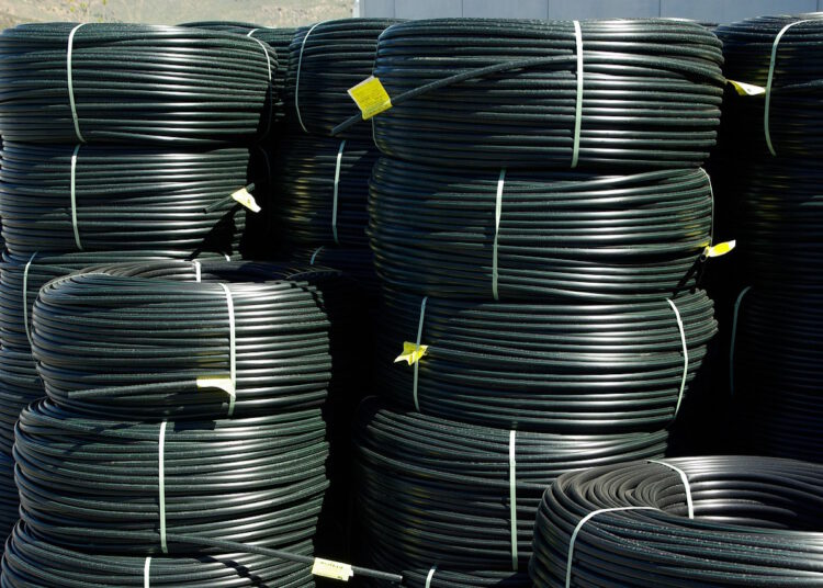 charakterystyka wezy ogrodowych