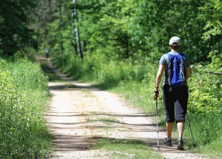 trekkingowe kijki